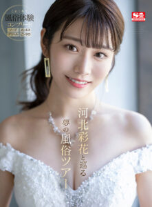 【VR】伝説の美少女‘河北彩花’がもてなすオール5つ星 超高級風俗マンションへようこそ(sivr00231)｜エスワン ナンバーワンスタイル