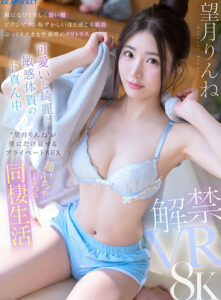 【VR】風になびく美しく長い髪 ビクンビクン恥ずかしいほど感じる乳首 ぷっくり大きな性感帯のクリトリス 可愛いと綺麗と敏感体質のド真ん中‘望月りんね’が僕にだけ見せるプライベートSEX 超いちゃいちゃ同棲生活(ipvr00336)｜アイデアポケット