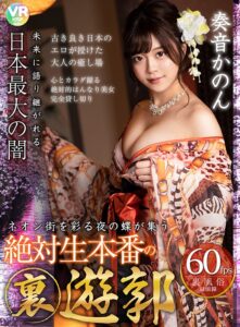 【VR】未来に語り継がれる日本最大の闇 ネオン街を彩る夜の蝶が集う絶対生本番の裏遊郭 奏音かのん(h_1285bikmvr00139)｜KMPVR-bibi-